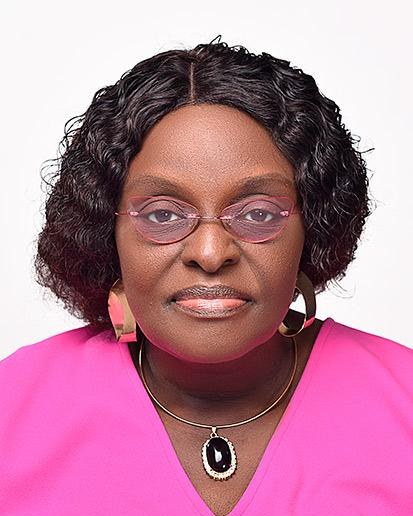 Portrait of Prof. Nonso Bisong