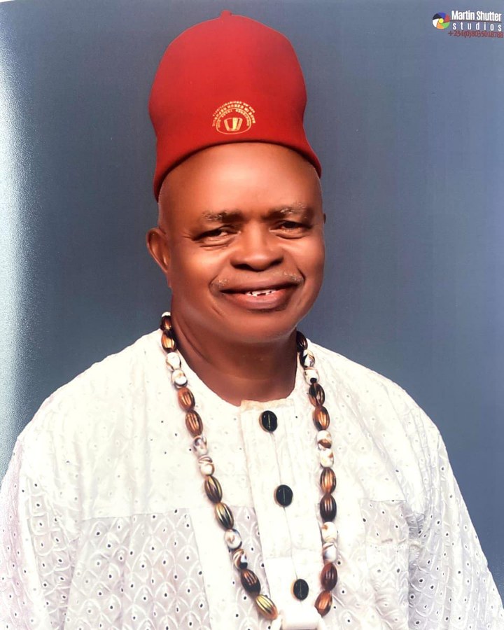 Portrait of Prof. Romy O. Okoye
